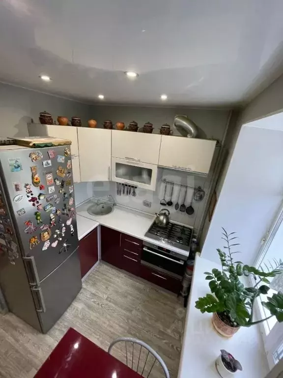 2-к кв. Коми, Сыктывкар ул. Морозова, 29 (41.9 м) - Фото 1