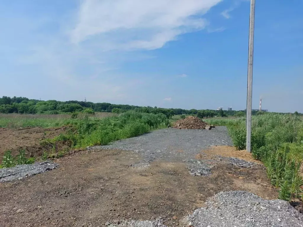 Участок в Хабаровский край, Хабаровский район, Тополевское с/пос, с. ... - Фото 2