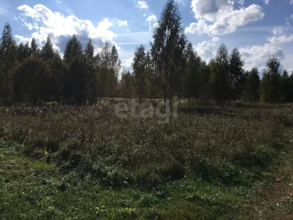 Участок в Ярославская область, Некрасовский муниципальный округ, д. ... - Фото 2