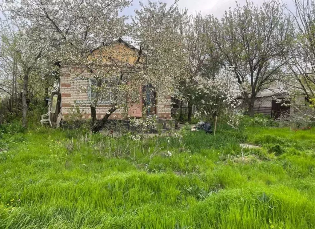 Дом в Белая Калитва, садоводческое товарищество Дружба-2 (36 м) - Фото 1