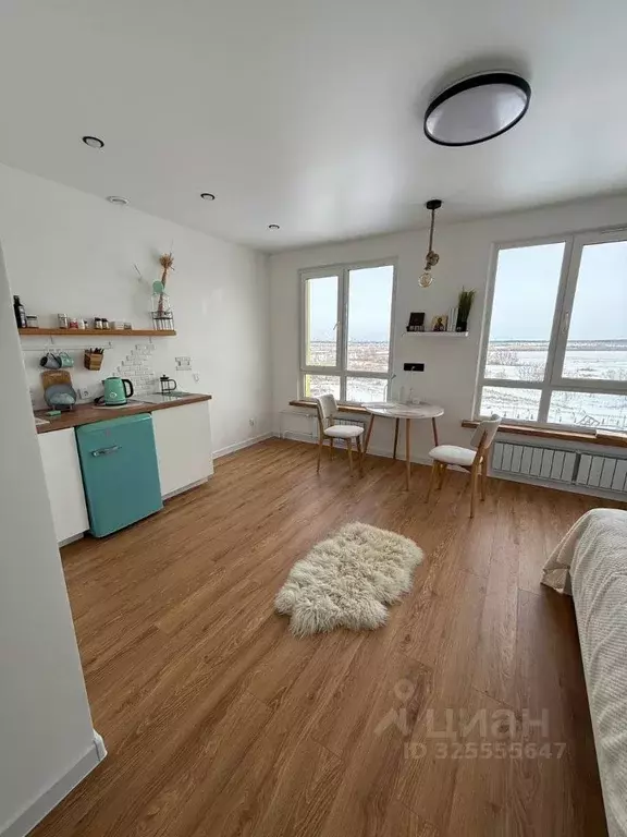 Студия Самарская область, Волжский район, Черноречье с/пос, с. ... - Фото 1