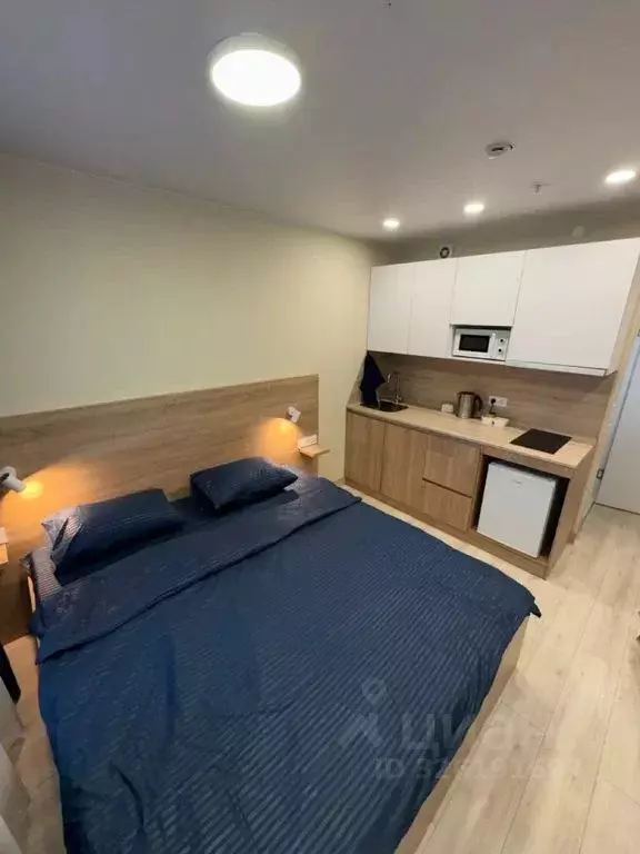 Студия Санкт-Петербург ул. Матроса Железняка, 2 (3.0 м) - Фото 1