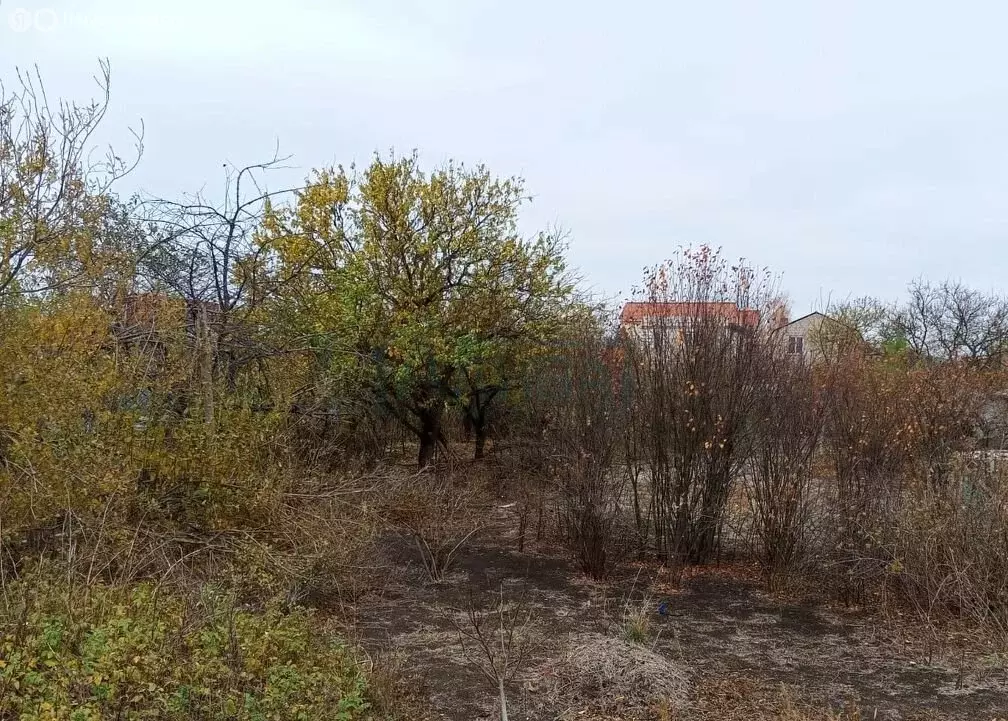 Участок в Кулешовка, Первомайская улица, 27 (13 м) - Фото 1