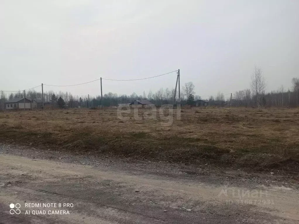 Участок в Новосибирская область, Искитимский район, Быстровский ... - Фото 1