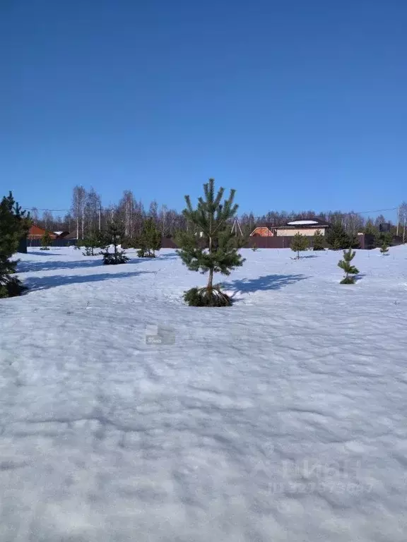 Участок в Московская область, Раменский муниципальный округ, КП ... - Фото 1