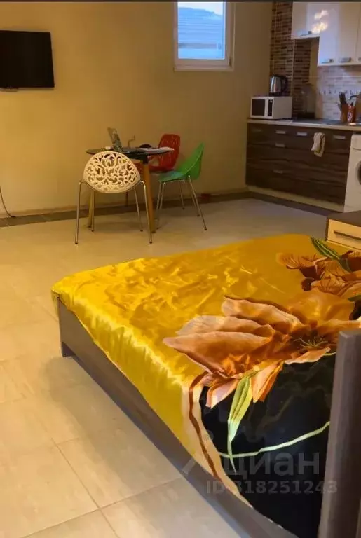 Студия Крым, Алушта муниципальный округ, Партенит пгт ул. Прибрежная, ... - Фото 1