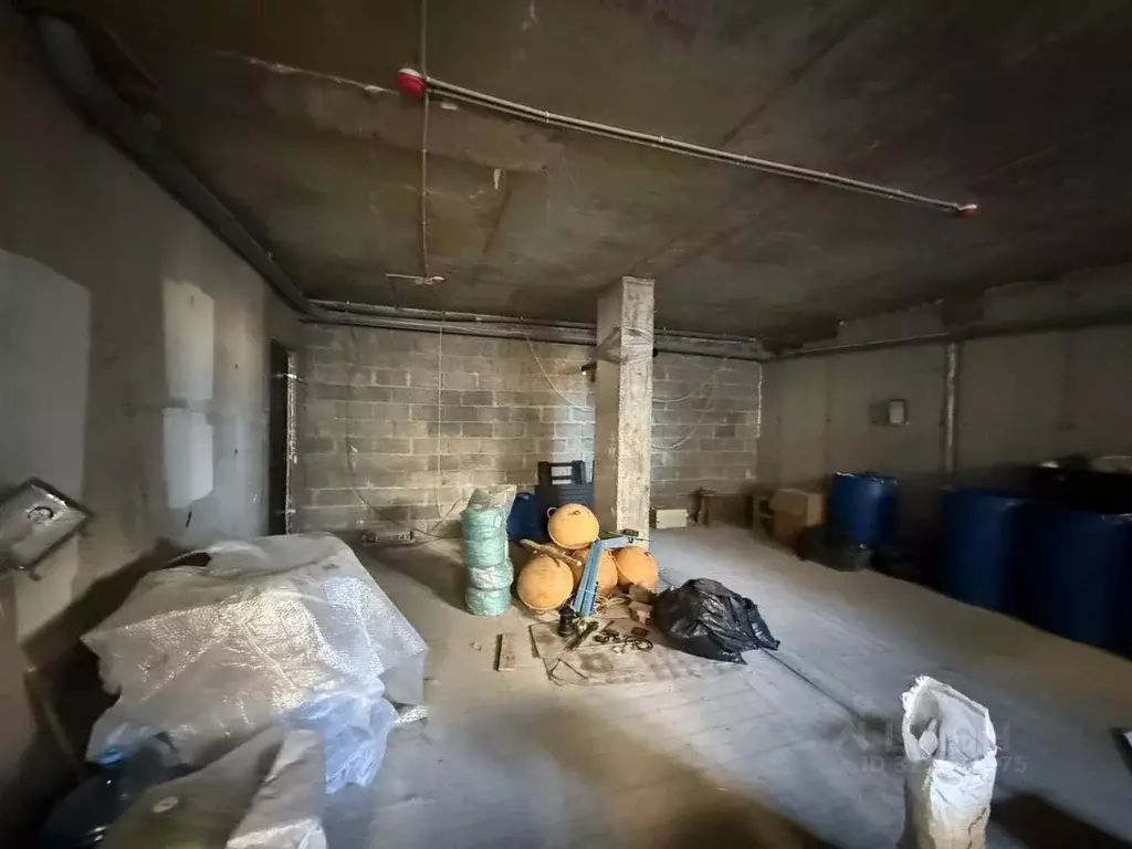 Помещение свободного назначения в Краснодарский край, Анапа ... - Фото 2