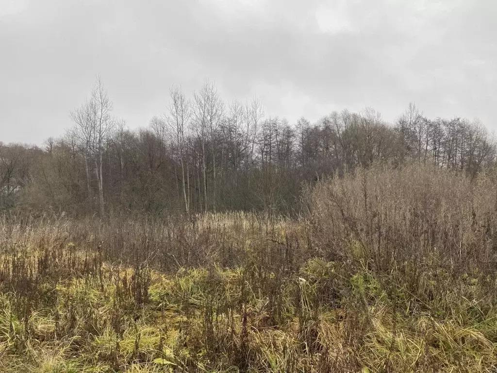 Участок в Московская область, Луховицы Молодежный мкр, ул. Малахитовая ... - Фото 1