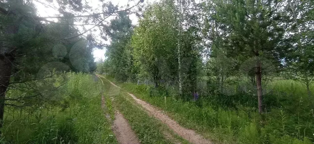 Участок 70 сот. (СНТ, ДНП) - Фото 1