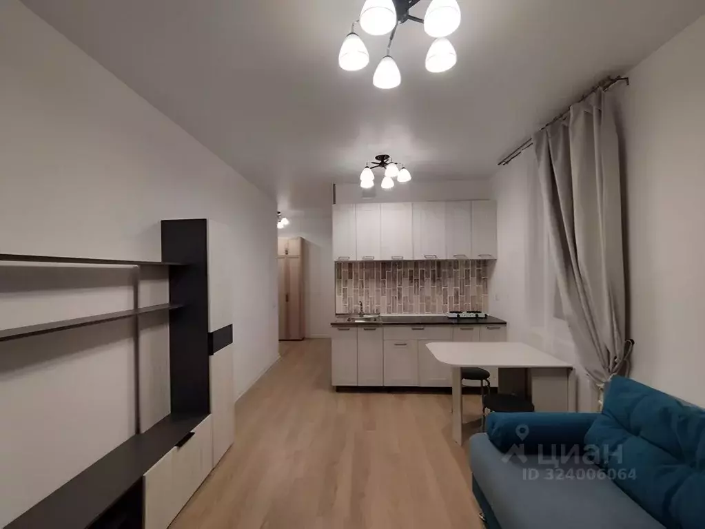 Студия Свердловская область, Екатеринбург ул. Крауля, 105/4 (23.0 м) - Фото 2