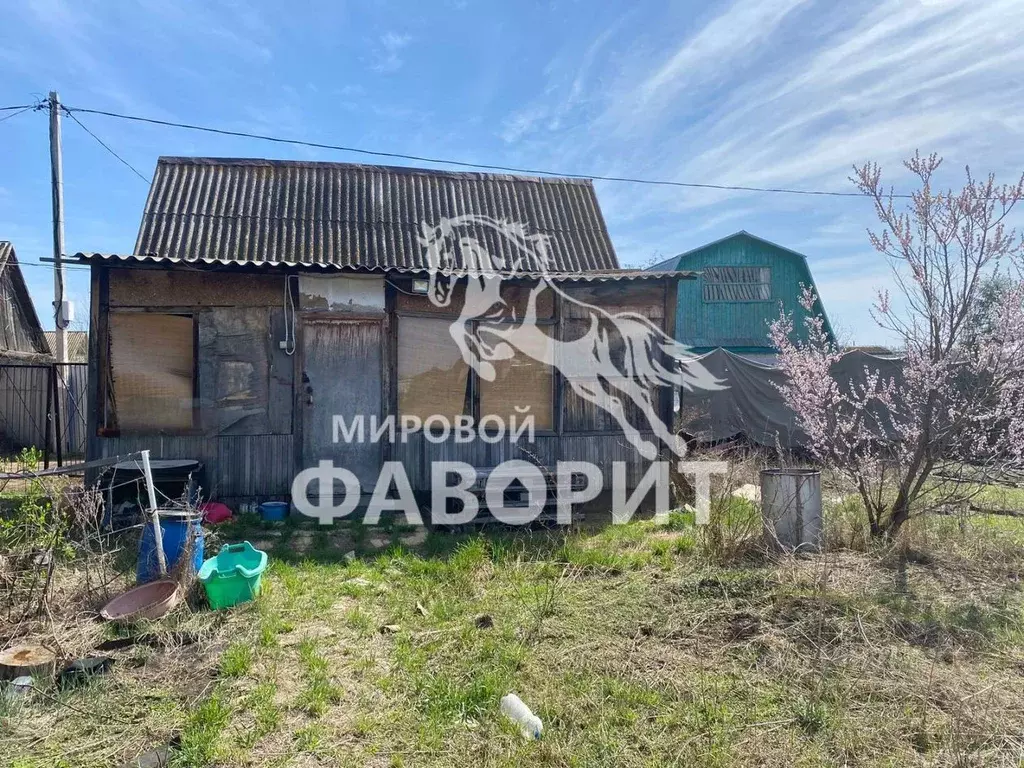 Участок в Оренбургская область, Оренбургский район, Нежинский ... - Фото 1