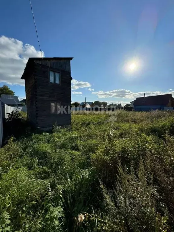 Участок в Новосибирская область, Новосибирский район, Морской ... - Фото 0