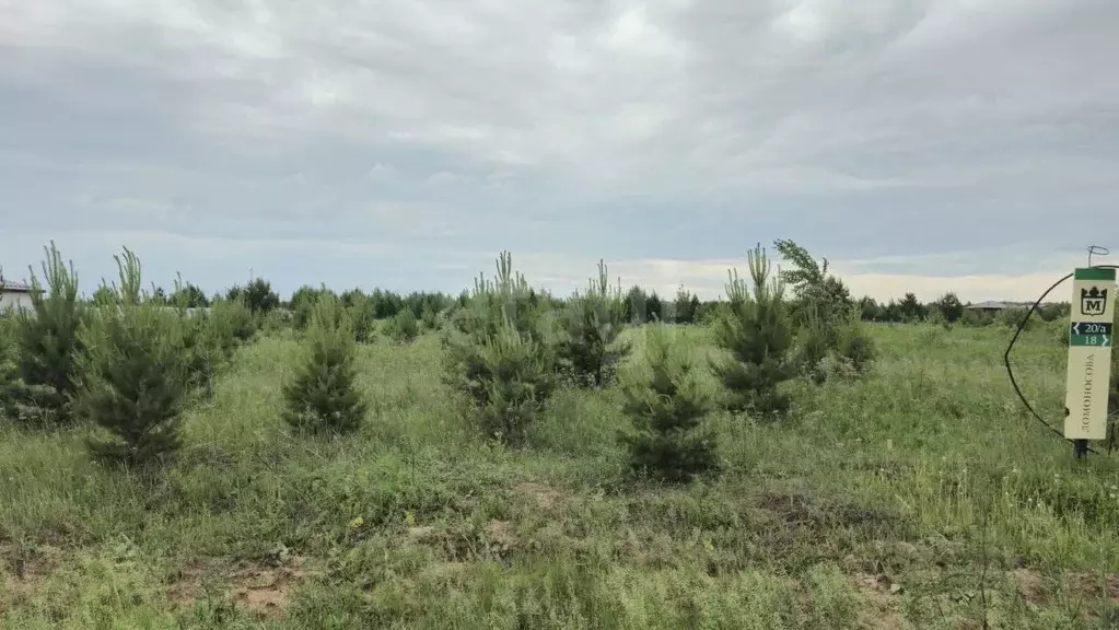 Участок в Тюменская область, Тюменский район, Новокаменский кп  (11.0 ... - Фото 0