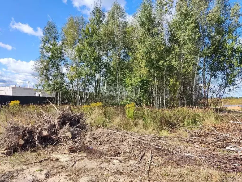 Участок в Калужская область, Бабынинский муниципальный округ, ... - Фото 1