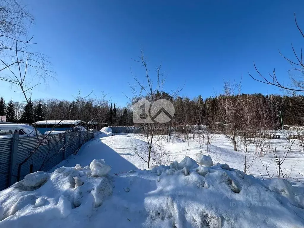 Участок в Новосибирская область, Новосибирск Любитель СНТ,  (20.0 ... - Фото 1