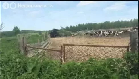 Участок в сельское поселение Лопатино, деревня Толмачёво (1650 м) - Фото 0