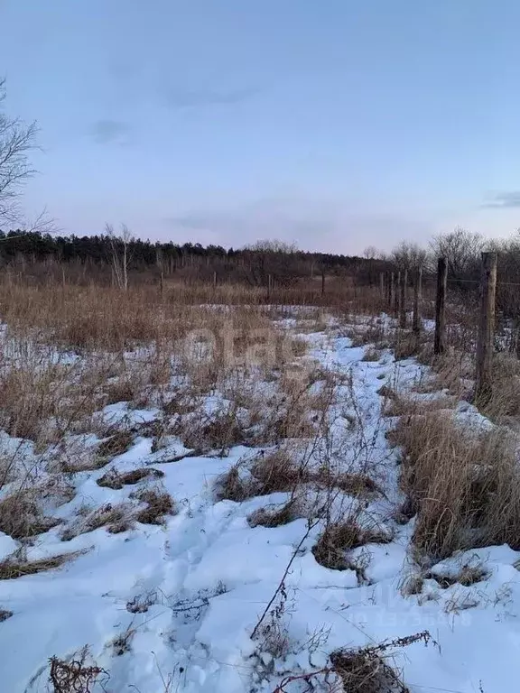 Участок в Амурская область, Благовещенский район, с. Усть-Ивановка ... - Фото 0