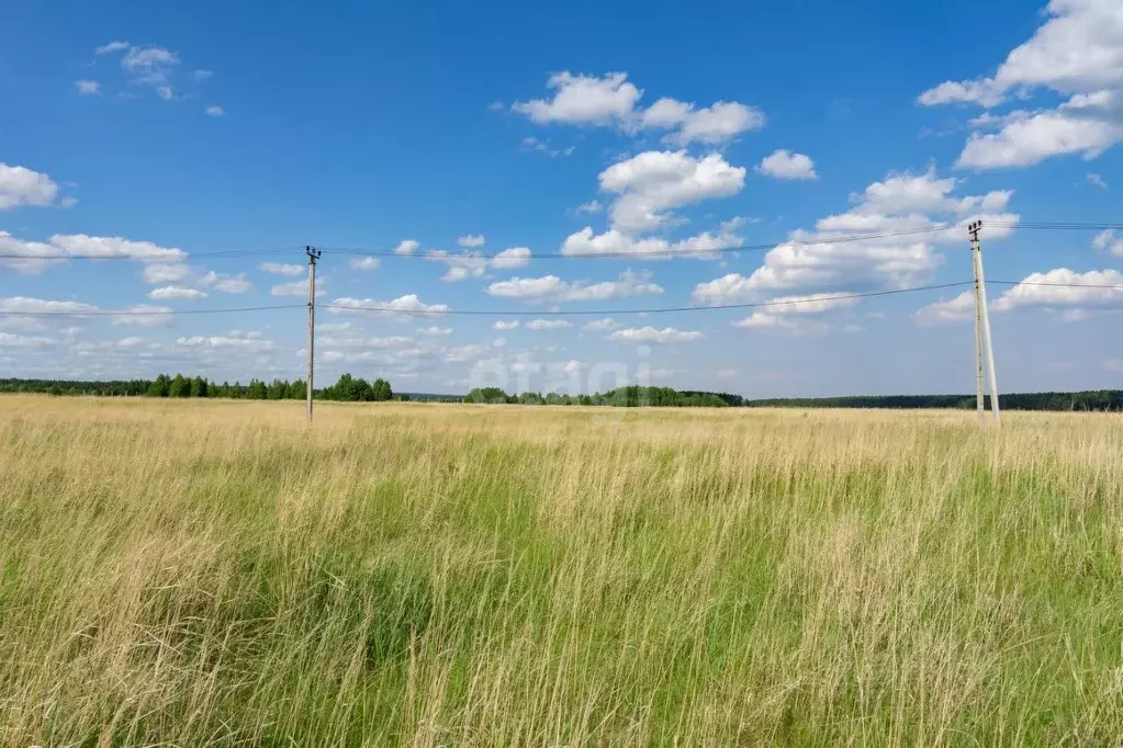 Купить Земельный Участок В Луговом Ульяновск