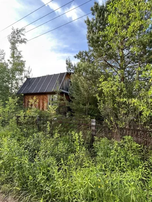 Участок в Кировская область, Кирово-Чепецкий район, Пасеговское с/пос, ... - Фото 1