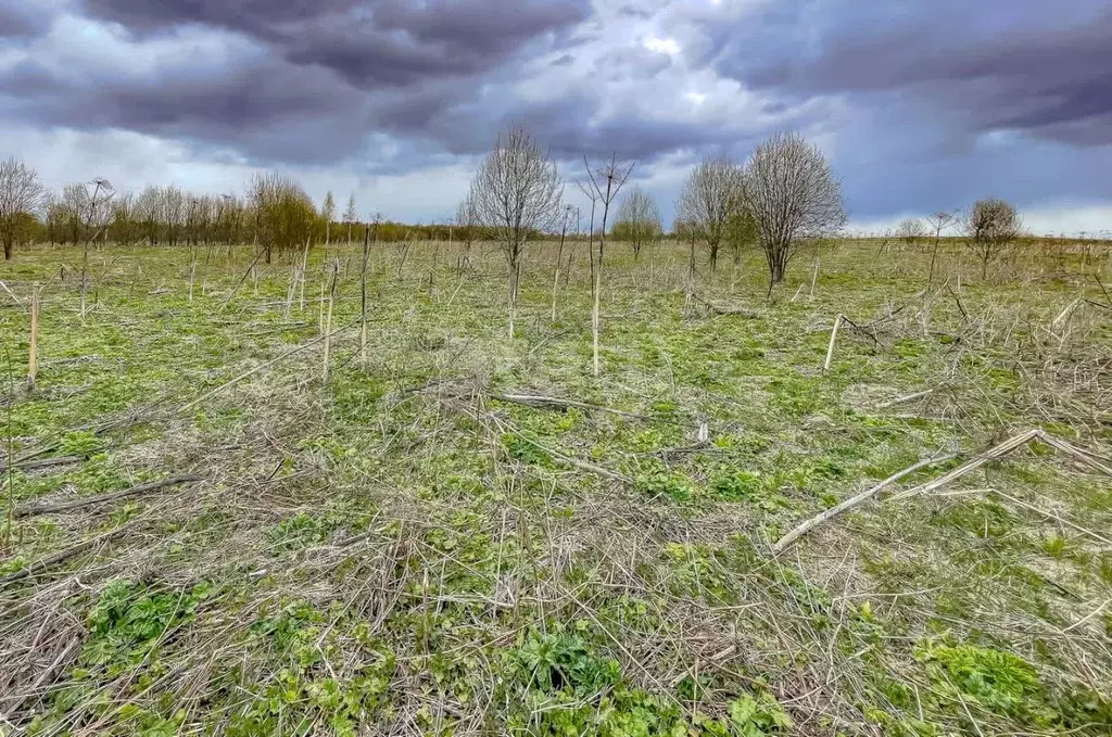 Участок в Ленинградская область, Ломоносовский район, Лопухинское ... - Фото 1