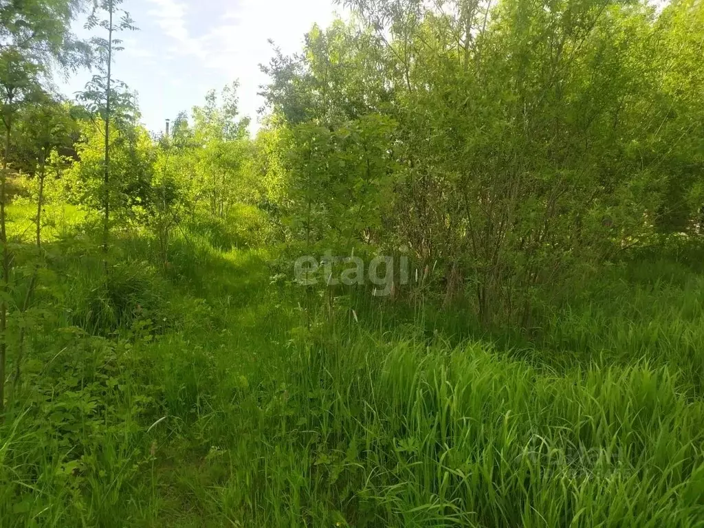 Участок в Новгородская область, Новгородский район, Бронницкое с/пос, ... - Фото 1