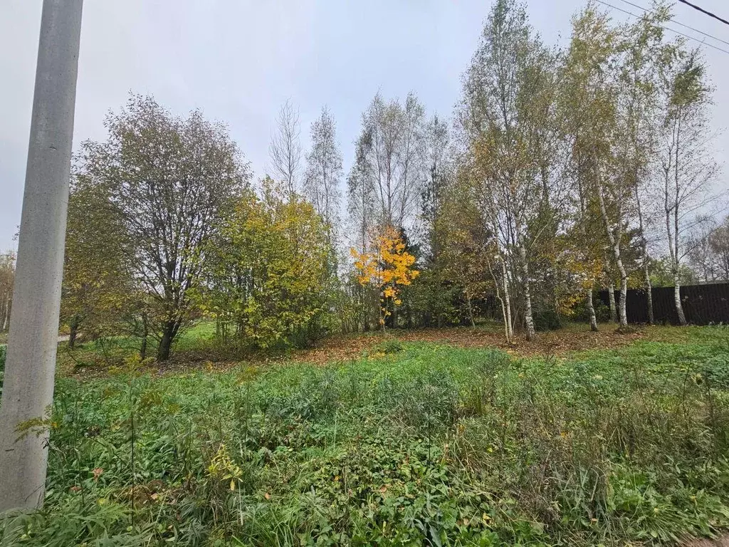 Участок, 8 сот., поселения (ижс) - Фото 1