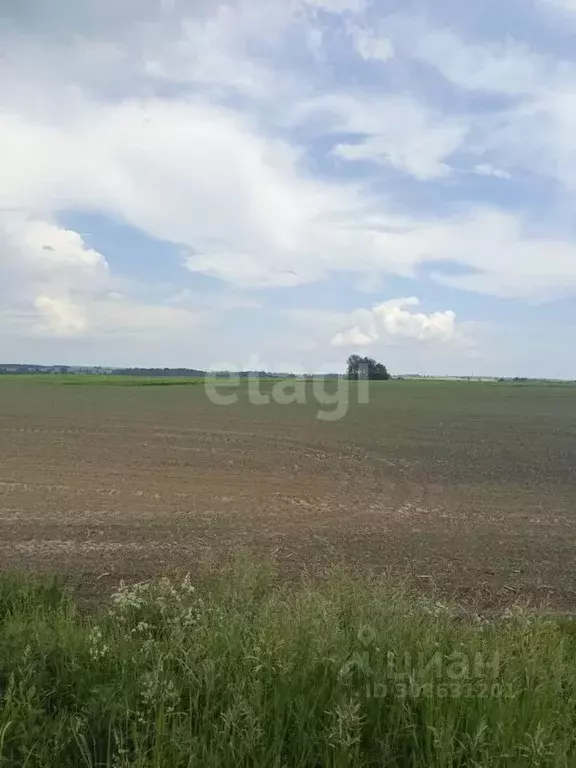 Участок в Брянская область, Брянский район, Добрунское с/пос, с. ... - Фото 1