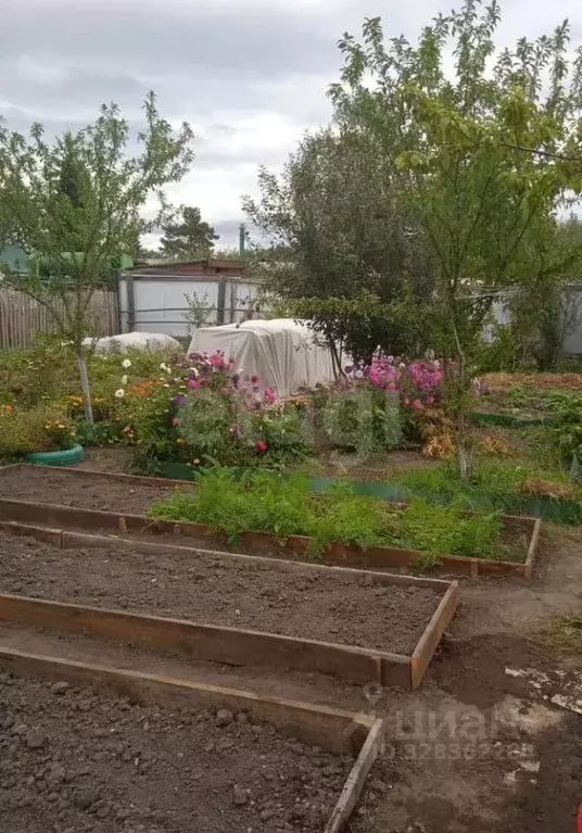 Дом в Тюменская область, Тюмень Плодовое СНТ, ул. Солнечная (20 м) - Фото 2