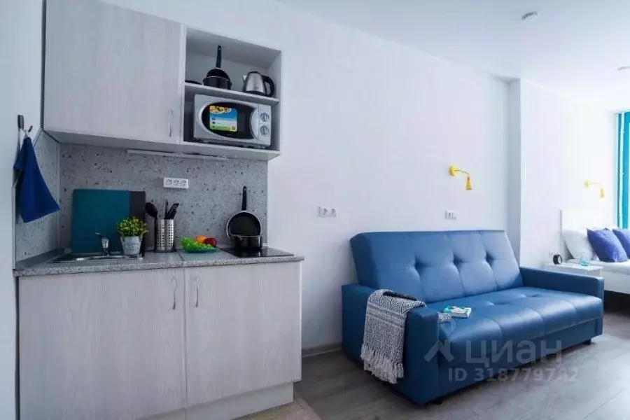 Студия Санкт-Петербург ул. Марата, 56-58/29 (18.0 м) - Фото 1