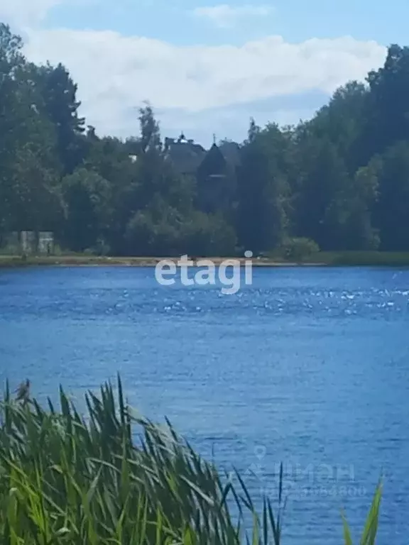 Участок в Санкт-Петербург пос. Парголово, Озерная ул., 49 (29.48 сот.) - Фото 1