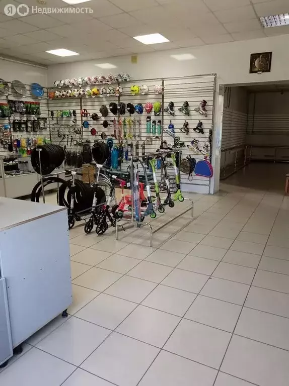 Помещение свободного назначения (580 м) - Фото 0
