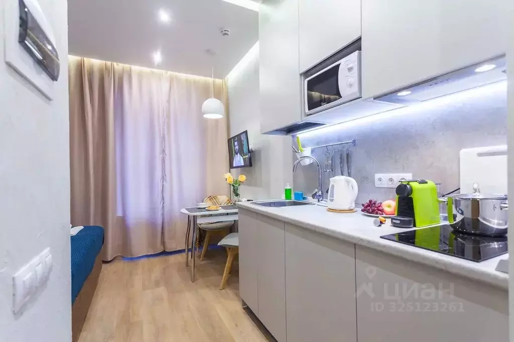 1-к кв. Санкт-Петербург Троицкий просп., 12 (18.0 м) - Фото 2