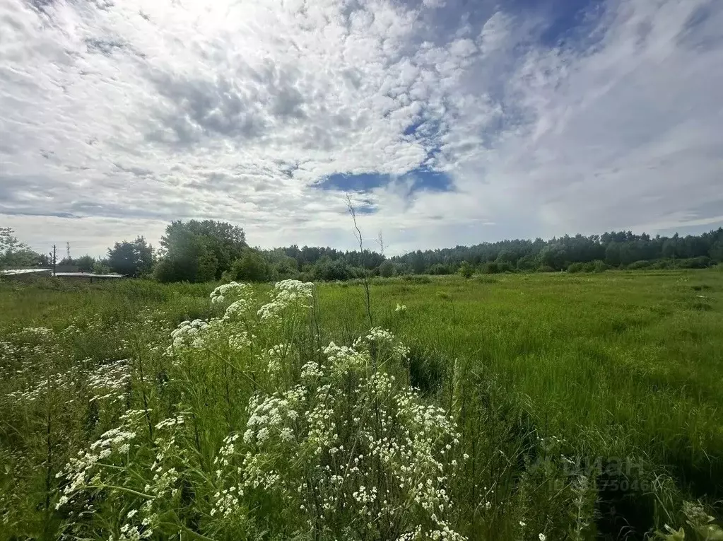 Участок в Московская область, Ногинск Богородский городской округ, ул. ... - Фото 1