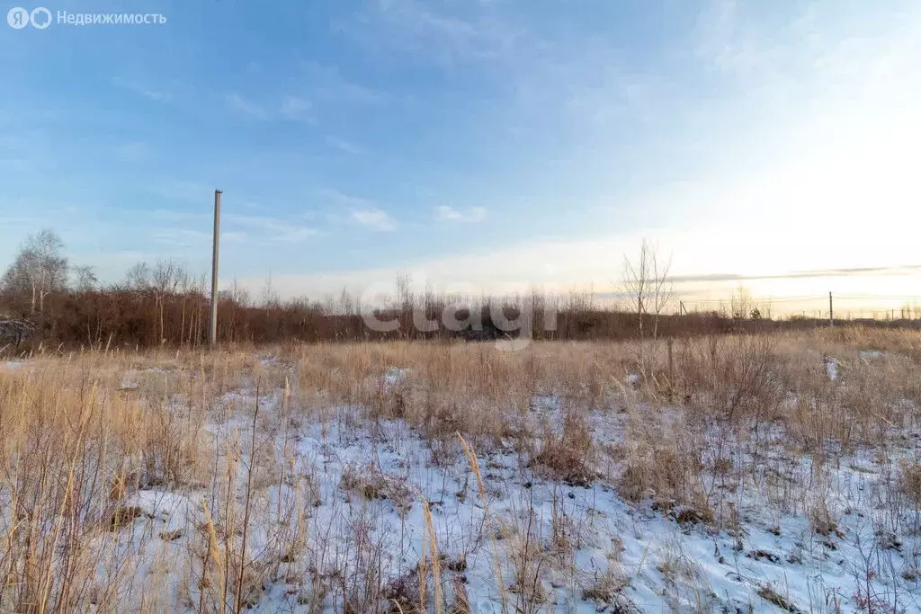 Участок в Тюмень, ДНТСН Зелёный Бор (10.15 м) - Фото 0