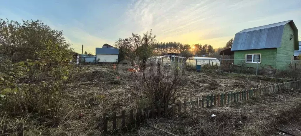 Участок в Костромская область, Кострома Дубки садоводческое ... - Фото 0