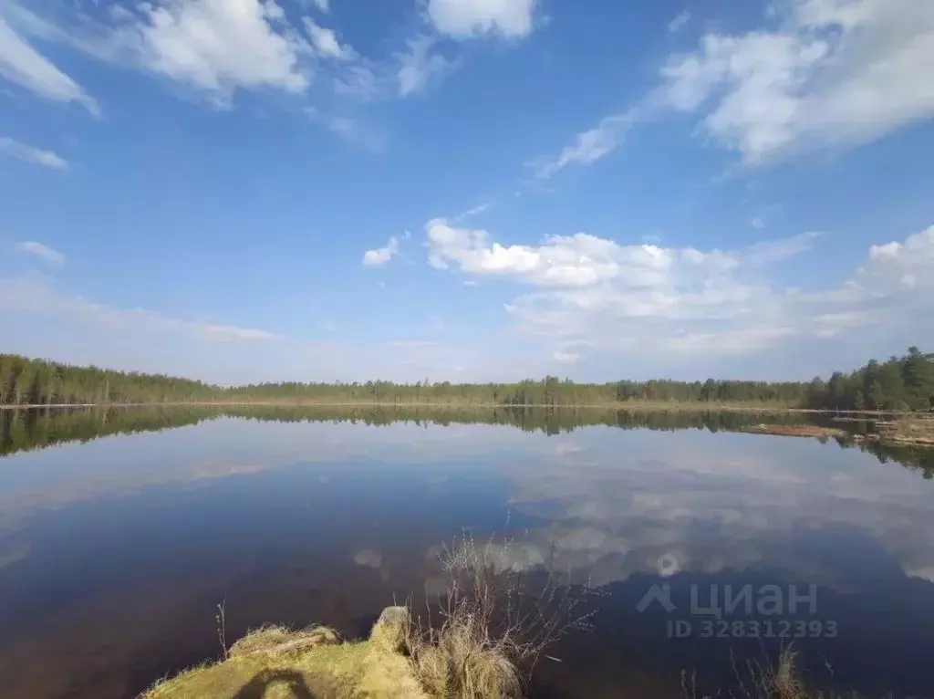 Дом в Карелия, Муезерский муниципальный округ, пос. Волома ул. 23-го ... - Фото 1
