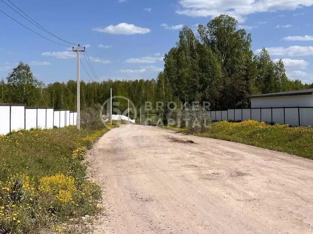 Участок в Новосибирская область, Новосибирский район, Станционный ... - Фото 1
