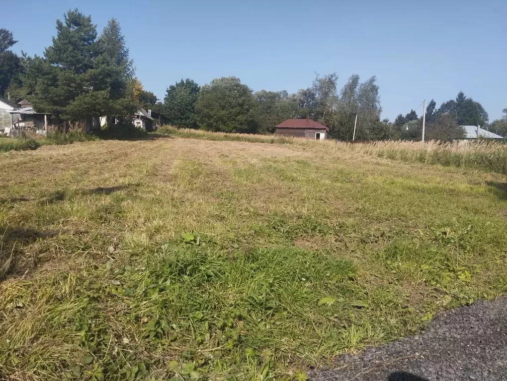 Участок в Москва д. Косовка, 25А (10.0 сот.) - Фото 1