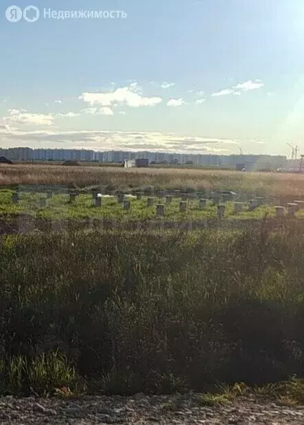 Участок в Новгородский район, Савинское сельское поселение, посёлок ... - Фото 1