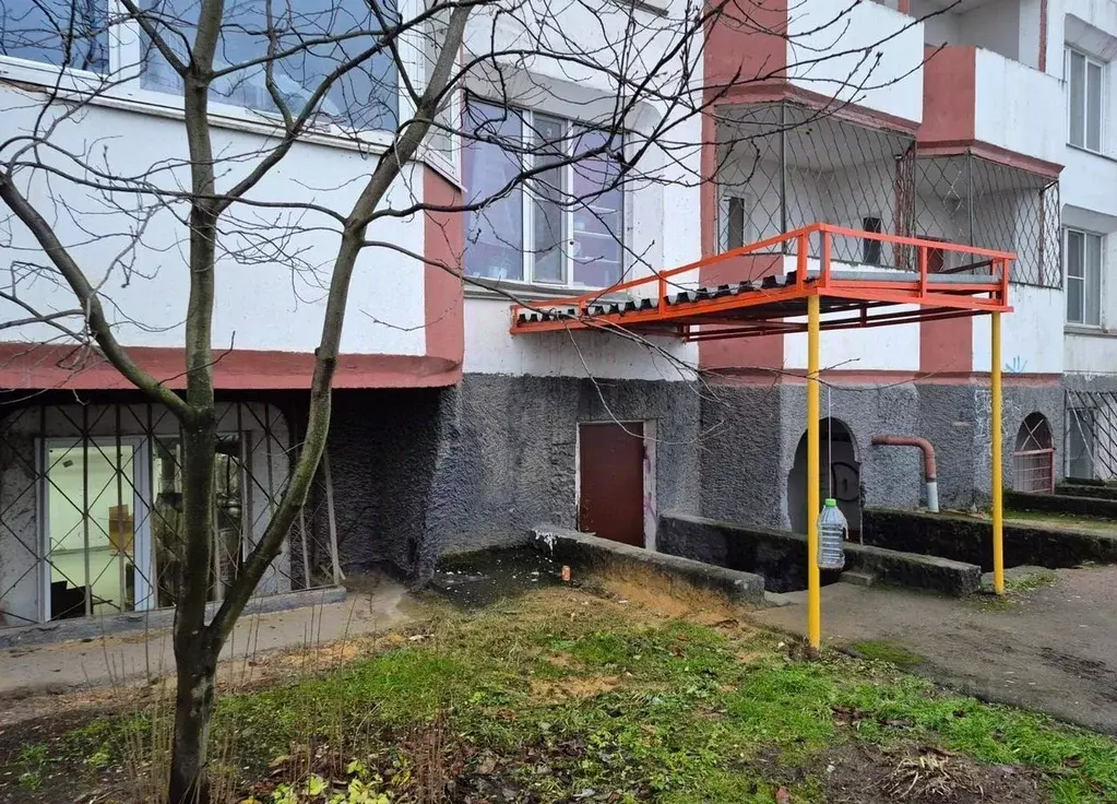 Помещение свободного назначения в Московская область, Дзержинский ... - Фото 2
