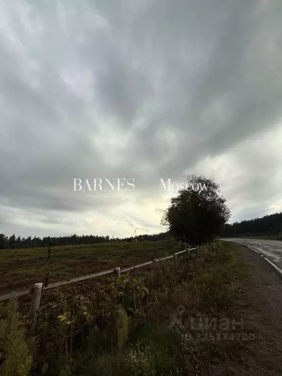 Участок в Ленинградская область, Выборгский район, Рощинское городское ... - Фото 1