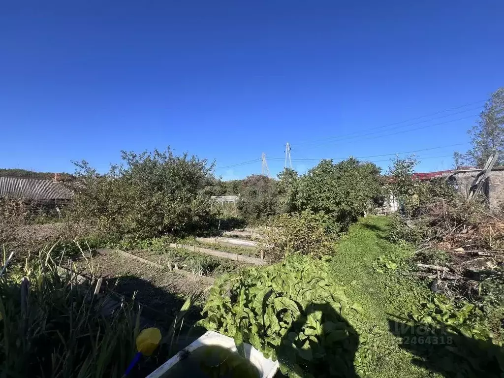 Участок в Сахалинская область, Долинский городской округ, с. ... - Фото 1