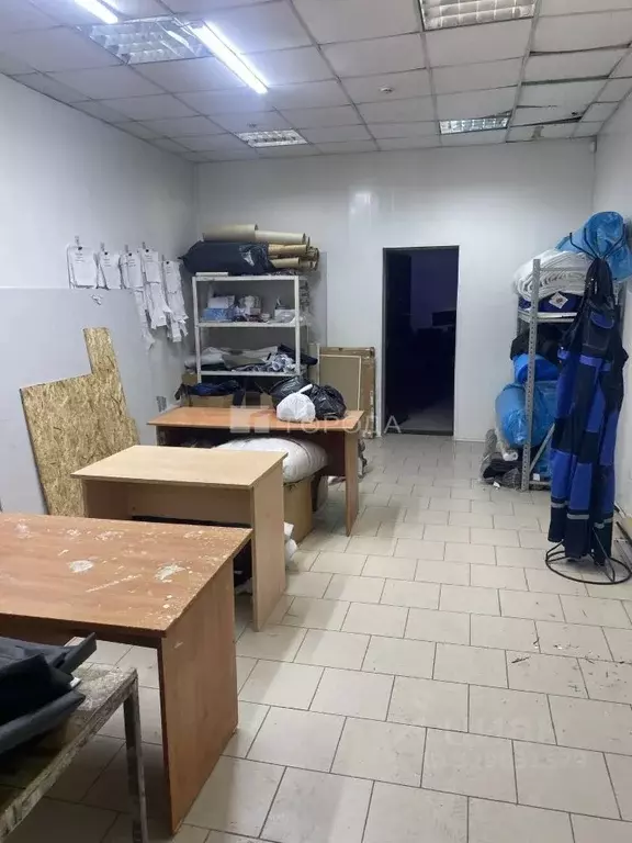 Помещение свободного назначения в Новосибирская область, Новосибирск ... - Фото 1