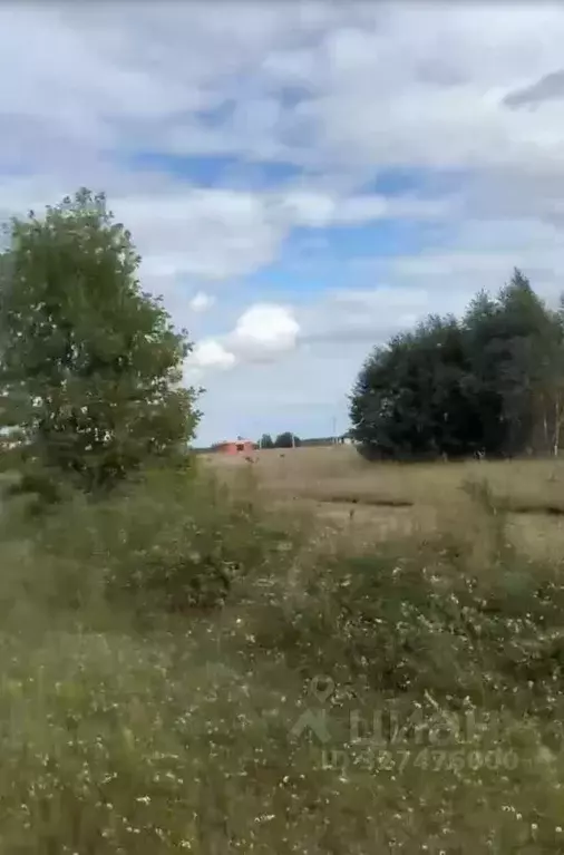 Участок в Калининградская область, Багратионовский муниципальный ... - Фото 2