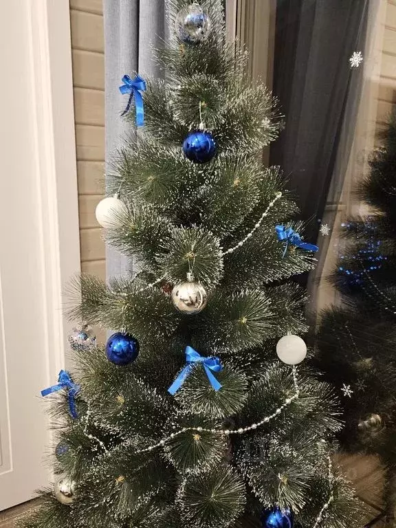 Дом в Саратовская область, Энгельсский район, Терновское муниципальное ... - Фото 2