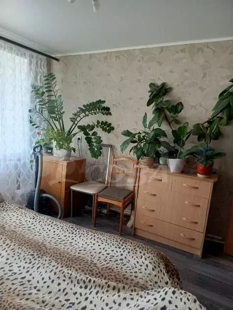 2-к. квартира, 52 м, 5/5 эт. - Фото 1