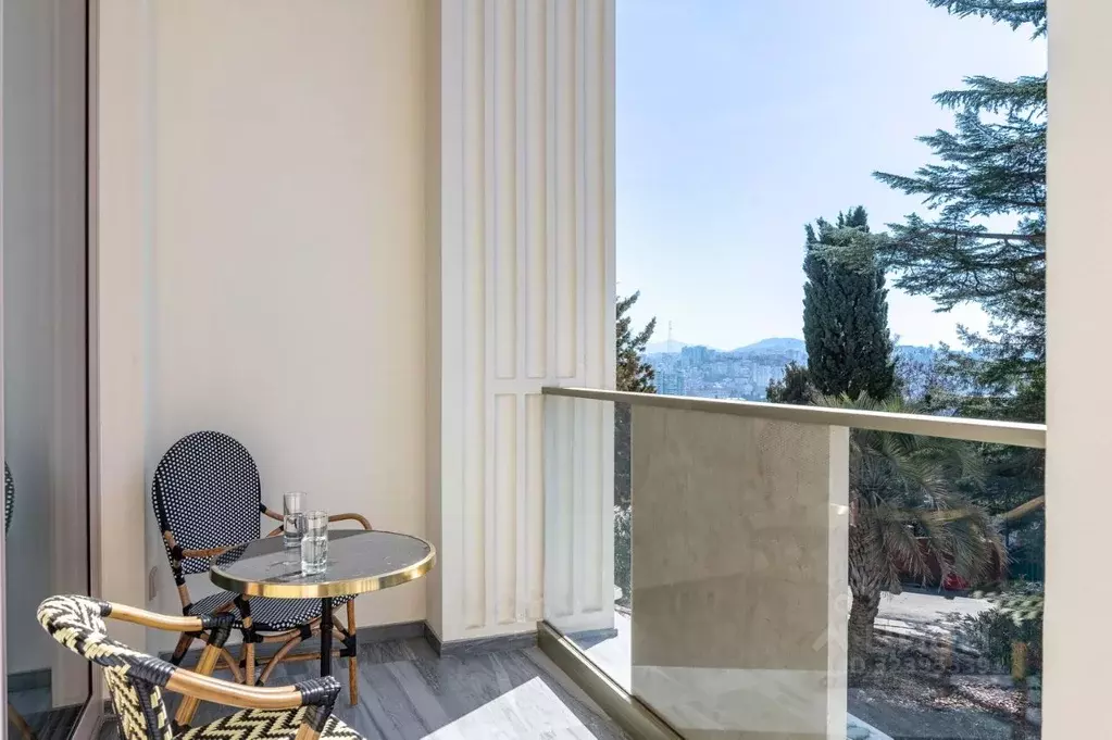 1-к кв. Краснодарский край, Сочи Виноградная ул., 14 (50.0 м) - Фото 2