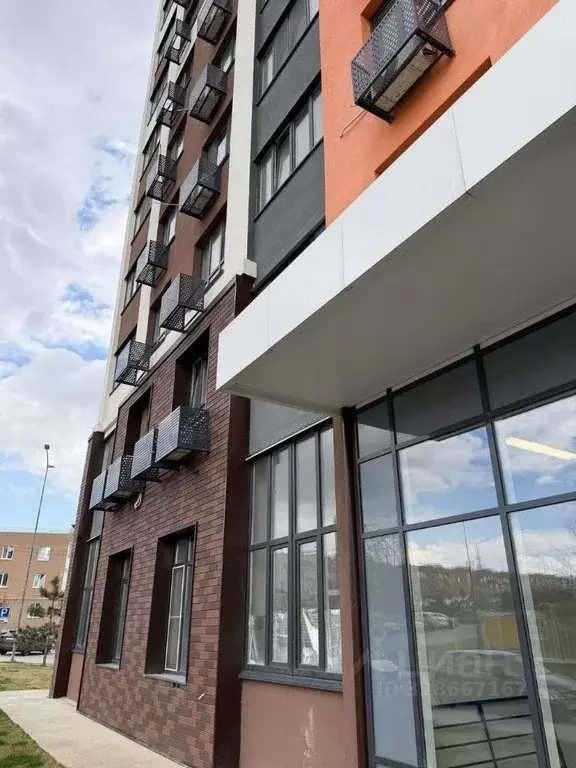 Студия Волгоградская область, Волгоград ул. Грибанова, 3А (21.8 м) - Фото 2