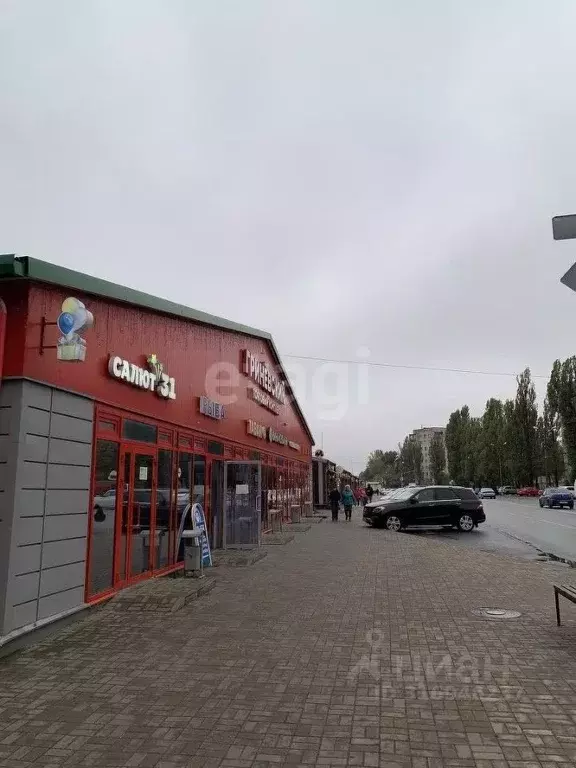 Торговая площадь в Белгородская область, Белгород Привольная ул., 1Г ... - Фото 2
