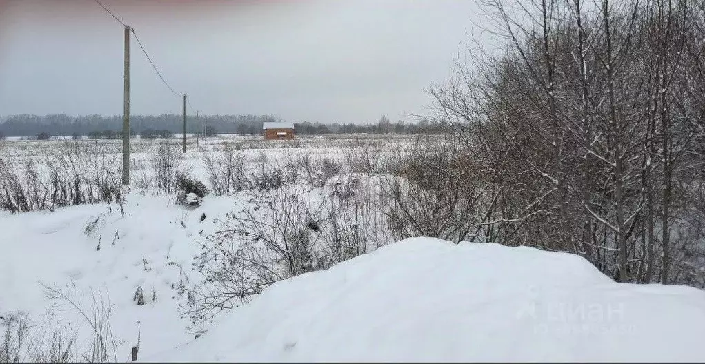 Участок в Ярославская область, Ярославский район, Кузнечихинское ... - Фото 0